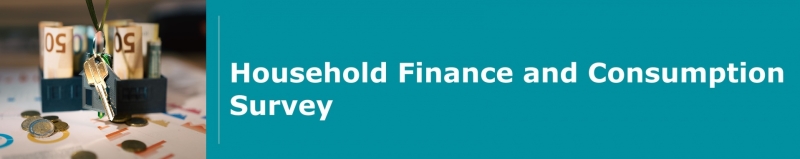 Household Finance and Consumption Survey