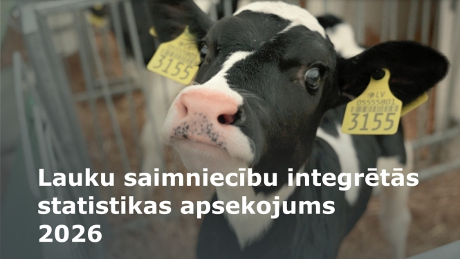 Gotiņa ar apsekojuma nosaukumu