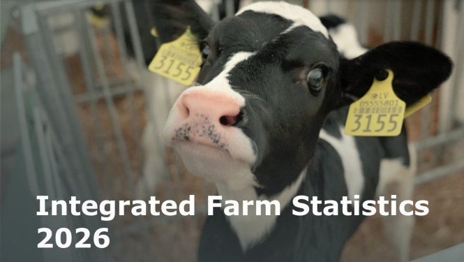 A small cow with the name of the survey