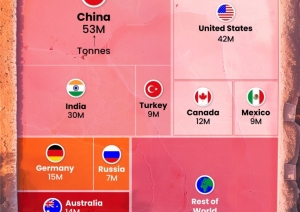 Koka kartes diagrammas izmantošanas piemērs