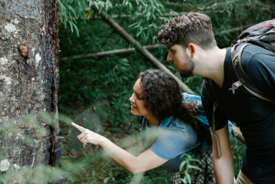 Illustrative image for a survey on leisure travel