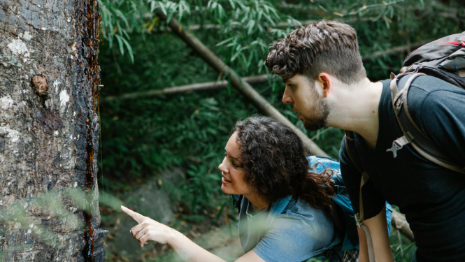 Ilustratīvs attēls apsekojumam par atpūtas braucieniem